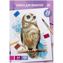 Папка для акварели, 20л., А4 ArtSpace Сова, 180г/м2, Па20А4_41705
